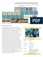 Bacillariophyceae PDF