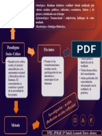 INFOGRAFÍA DEL PARADIGMA SOCIO-CRÍTICO_YUDELIS TORRES.pptx