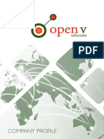 OpenV Company Profile