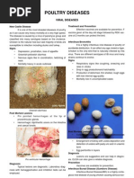 Poultry Diseases