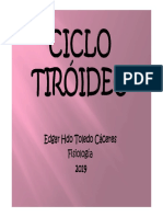 Ciclo Tiroideo.pdf