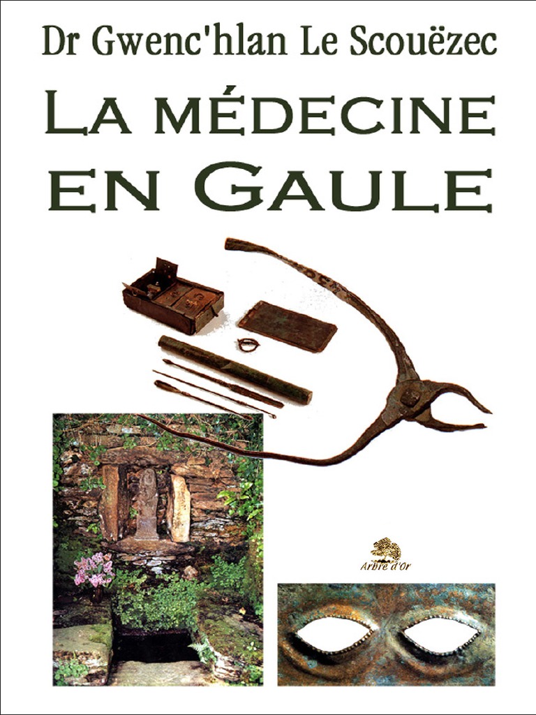 medecine gaule pdf celtes gaule