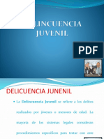 La Delincuencia Juvenil