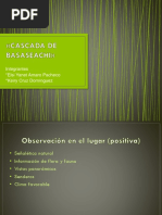 Cascada de Basaseachi»