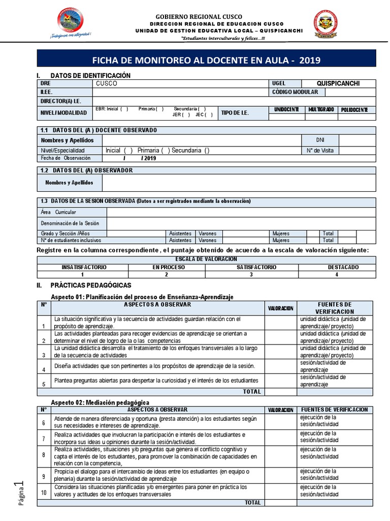 Ficha de Monitoreo Docente 2019 | PDF | Aprendizaje | Maestros
