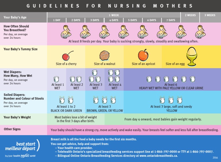 how-often-should-you-breastfeed-your-baby-s-age-pdf-breastfeeding