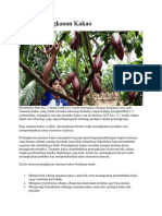 Cara Pemangkasan Kakao untuk Meningkatkan Produksi