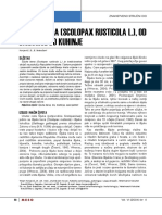 5 Sljuka 2004 BR 4 18 PDF