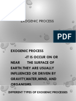 Exogenic processes