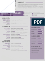 Modelos de Curriculum Vitae 823 PDF