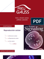 Ciclo Celular y Mitosis