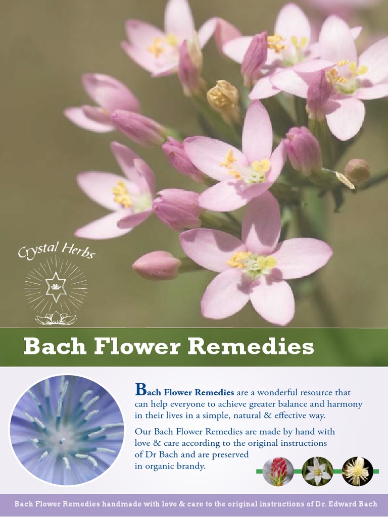 Bach Flower Remedy Leaflet PDF PDF Bach Flower Remedies Grief