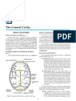 The Cranial Cavity: Bony Features