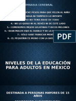 Niveles de La Educación para Adultos