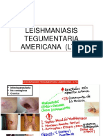 Leshmania Teg Americana