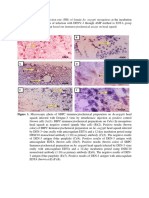 In EDTA Group and Heparin Group Based Om Immunocytochemical Assays On Head Squash