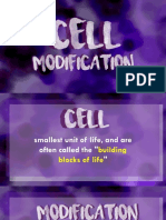 Cell Modification Rep