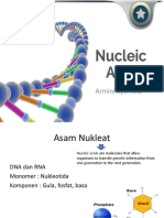 Asam Nukleat PDF