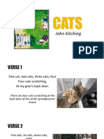 CATS by John Kitching