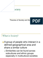 Ch. 4 Society: Theories of Society and Social Change