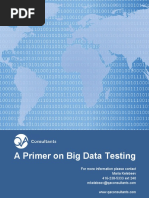 Primer On Big Data Testing