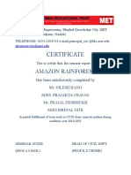 Certificate: Amazon Rainforest