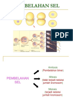 Pembelahan Sel