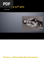 Ciclo Biológico Humano 1