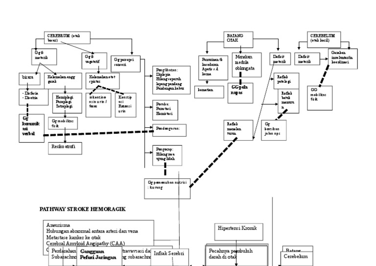 Pathway Stroke Hemoragik dan Dampaknya | PDF