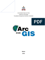 Introdução ao ArcGIS e seus principais conceitos