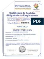 Registro Obligatorio Del Empleador-Roe