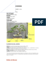 Nombres de Un Bonsai