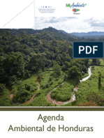 Agenda Ambiental 2017