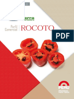 1.  PERFIL COMERCIAL DE ROCOTO.pdf
