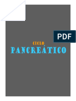 Ciclo pancreático