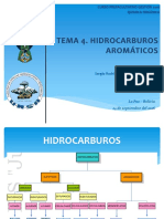 Hidrocarburos 