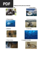 Animales que vuelan, nadan y caminan | PDF
