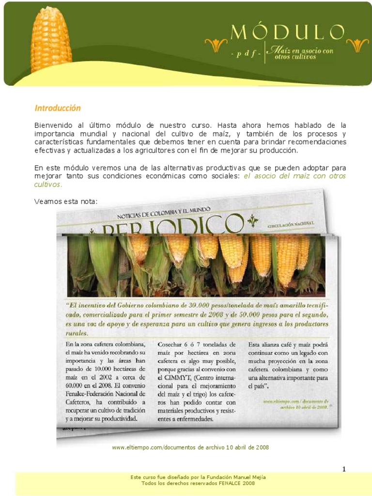 5 Maíz En Asocio Con Otros Cultivos Pdf Maíz Agricultura