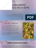 Mejoramiento Genetico de La Soya