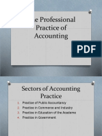 The Professional Practice of Accounting
