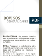 Bovinos