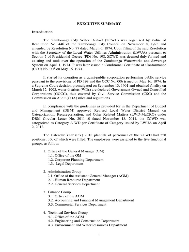 Zamboanga City Water District 2018 Executive Summary PDF Audit