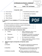 Examen Bimestral de Ciencia y Ambiente 5 To