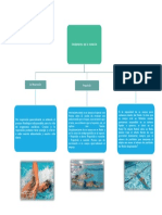 Fundamentos de Natación 