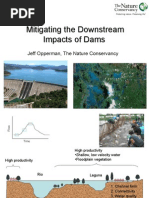Mitigating the Downstream Impacts of Dams