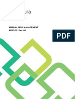 M DF 01 Manual Risk Management Rev. 00 Copy Controlled
