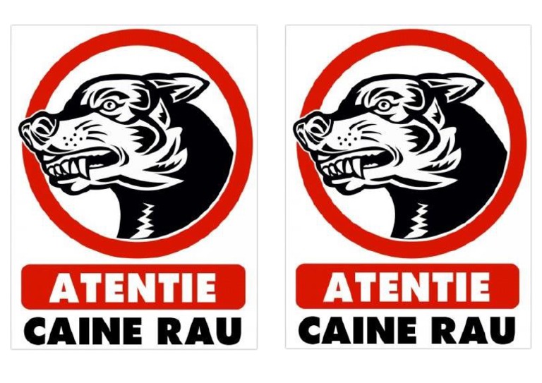 Caine Rau | PDF