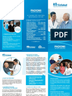 padomi2013.pdf