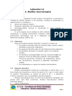 Amprenta Baumann.pdf