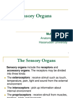 The Sensory Organs: Anatomy Department Hasanuddin University